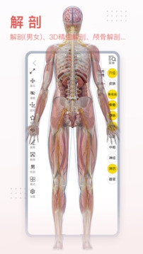 3Dbody解剖app免费版软件