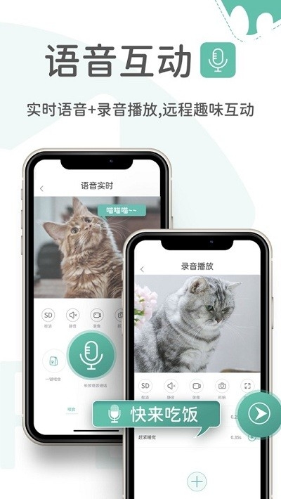 云阔宠物app下载官网最新版