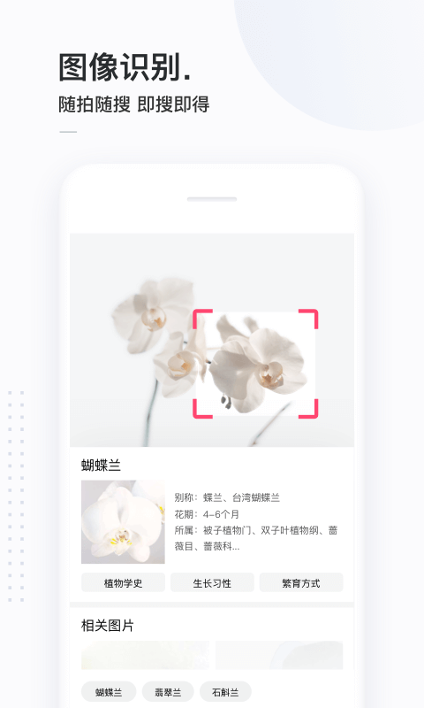 简单搜索app下载安装手机版