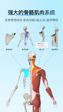 解剖大师app下载最新版