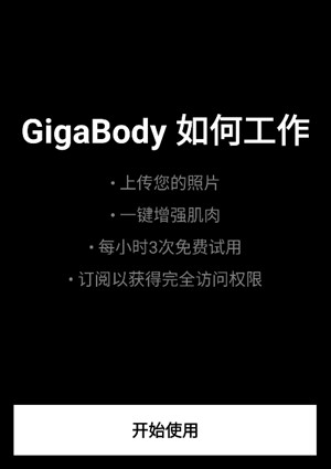 GigaBody下载