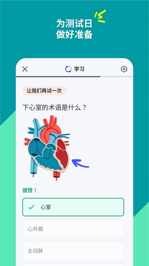 Quizlet安卓版下载中文版