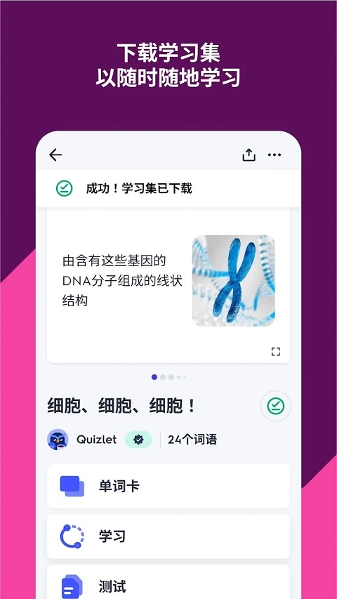 Quizlet安卓版下载中文版