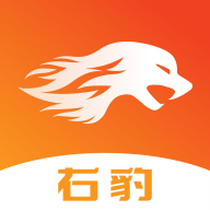 右豹官方app下载最新版