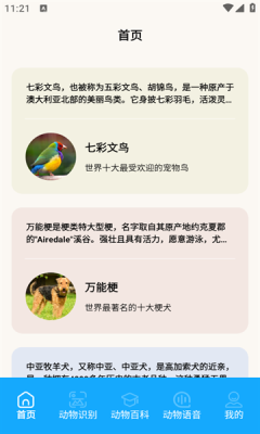 游快报导app